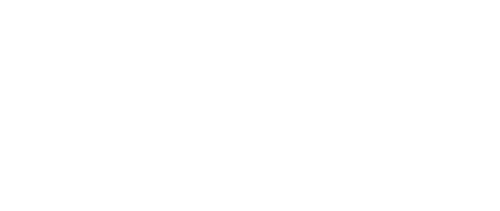 Da Vinci Workshop logo