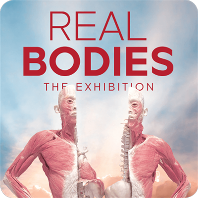 Real Bodies