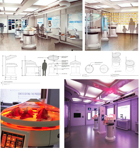 Exhibition Design