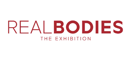 Real Bodies Exhibition