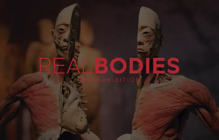 Real Bodies Exhibition