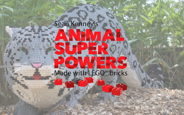 Animal Superpowers